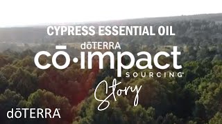 Cypress Essential Oil doTERRA Sourcing Story [upl. by Tomlinson292]