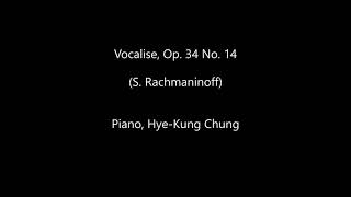 Vocalise Op34 No14 S Rachmaninoff [upl. by Aninat507]