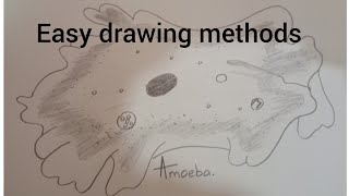 how to draw amoeba [upl. by Tillman]