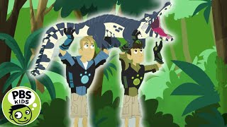 Wild Kratts  A Caiman Crocodile  PBS KIDS [upl. by Notecnirp355]