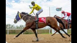 【FAIRVIEW AW】 SOUTH AFRICA HORSE RACE ANALYSIS [upl. by Pegg627]