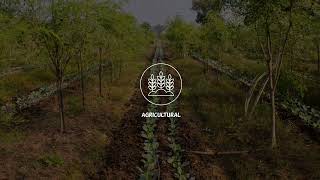 Basics of Agroforestry [upl. by Olivie563]