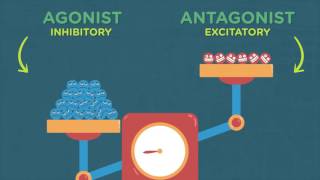 How Alcohol Affects Your Developing Brain [upl. by Edric]