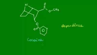 Alcalóides  Química orgânica [upl. by Gibson451]