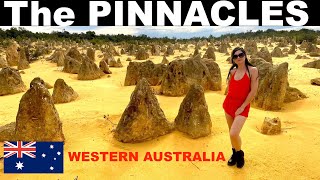 THE PINNACLES of Western Australia Are they any good [upl. by Yrtnej]