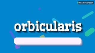 ORBICULARIS  HOW TO PRONOUNCE IT [upl. by Fallon]