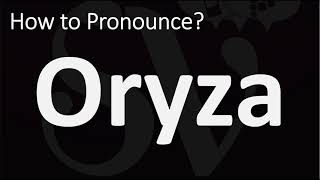 How to Pronounce Oryza CORRECTLY [upl. by Yartnoed]