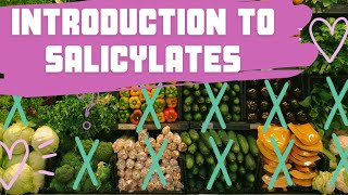 What are salicylates and why do people avoid them [upl. by Jaella]