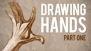 How to Draw HANDS  Muscle Anatomy of the Hand [upl. by Beverlee]