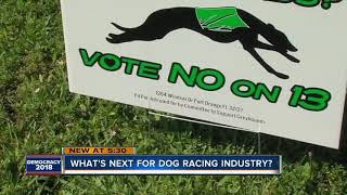 Passing of amendment 13 leaves dog racing industry concerned about the future [upl. by Simonne173]