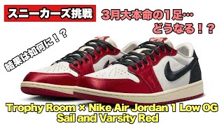 【スニーカーズ挑戦】3月21日トロフィールームとのコラボのジョーダン1ローを狙いました！果たして結果は如何に！？ [upl. by Sou]