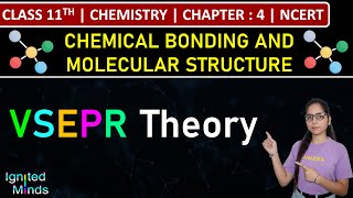 Class 11th Chemistry  VSEPR Theory  Chapter 4 Chemical Bonding amp Molecular Structure  NCERT [upl. by Odlaniger]