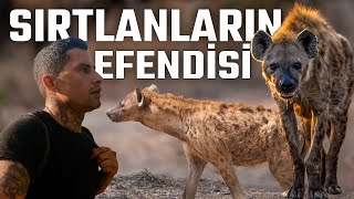 SIRTLANLAR İLE YÜZ YÜZE I VAHŞİ DOĞADA SIRTLAN BESLEDİM l HARAR ETİYOPYA [upl. by Llenahs]