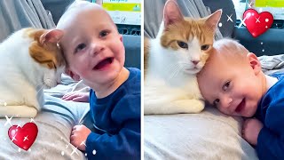 Purrfect Pals😻 Heartwarming Kiddo amp Kitty Antics😘 [upl. by Groeg]