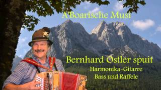 Bernhard Ostler von der Neuneralm Musi spuit an Holzmusik MarschDa zammerklaubte [upl. by Monjan]