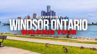 Windsor Ontario Riverfront  Walking Tour  4K [upl. by Broddie]