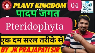 plant kingdom class 11  pteridophyta class 11 plant kingdom in hindi [upl. by Hammock]