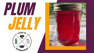 Plum Jelly  Useful Knowledge [upl. by Deryl]