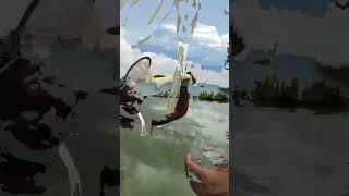 Zooplankton For Fish Shrimp Feeding zooplankton planktonplus [upl. by Alag]