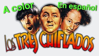 Lo mejor de Los Tres chiflados A color Audio Latino [upl. by Oniger]