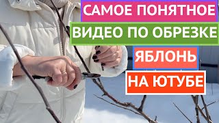 КАК ОБРЕЗАТЬ ЯБЛОНЮ ВЕСНОЙ ПОКАЗЫВАЮ И РАССКАЗЫВАЮ ПРОСТЫМ И ПОНЯТНЫМ ЯЗЫКОМ [upl. by Haeckel]