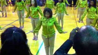 Beta Psi Chapter of Alpha Kappa Alpha Sorority Inc Fall 20 [upl. by Mae815]