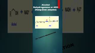 Isoenzymes of Alcohol Dehydrogenase shorts [upl. by Ailiec29]