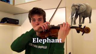 Animal sounds on violin [upl. by Rogozen]