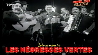 Les Négresses Vertes quotZobi la mouchequot 1990 [upl. by Ailima]