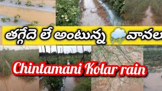 2024 today Kolar Chintamani rain tomato market rain in Kolar market rain in Chintamani market [upl. by Rfinnej878]