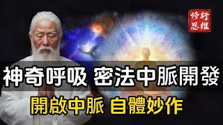 神奇的呼吸：密法中脈的開發，開啟中脈，自體妙作，安於法界息也修行思維 修行 福報 禪 道德經 覺醒 開悟 禅修 [upl. by Phionna]