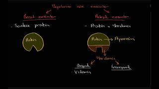 Enzimler enzimsubstratürün aktivasyon enerjisi aktivatör inhibitör basitbileşik enzim [upl. by Karola802]