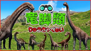 【★竜脚類の名前を覚えよう★】どんな「りゅうきゃくるい」が出てくるかな？！ブラキオサウルスやティタノサウルスが登場！！ [upl. by Einohpets]