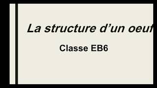 la structure dun oeuf de la poule classe EB5 [upl. by Fried]