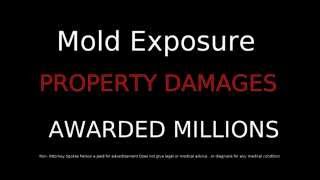 Mold Lawyer Mold Lawyers 844 Mold Law Mold Exposure Victims get compensated [upl. by Yahiya]