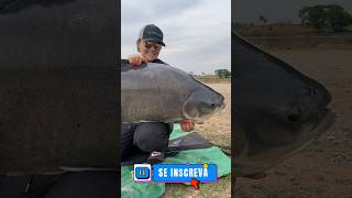 Nova carretilha Black Tamba Pro e suas atualizações 🎣 Essa esta presente em nossas pescarias 🎣 [upl. by Sall]