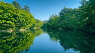 軽井沢 Karuizawa 雲場池 Kumoba Pond [upl. by Enitsugua]