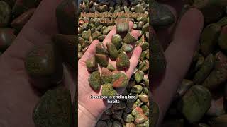 Metaphysical Properties of Unakite unakite crystals minerals healingcrystals metaphysical [upl. by Uaerraj]