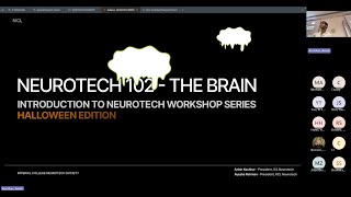 Neurotech 102  The Brain 2 [upl. by Ahseka]