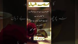 Allama Iqbal poetry  poetry of Allama Iqbal about Ahl e bait [upl. by Cestar]