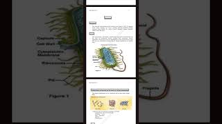 MICROBIOLOGY LECTURE  05  PHARMACY TECHNICIAN 1ST YEAR [upl. by Haek]