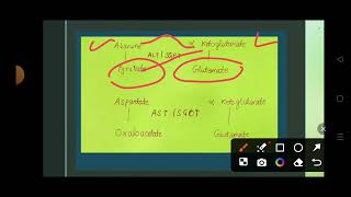 Protein metabolism Transamination reaction Transamination biochemistry [upl. by Novia]