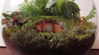 How to Make a Hobbit Terrarium [upl. by Haropizt366]