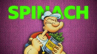 Why Popeye Loves Spinach Secret Revealed [upl. by Cull]