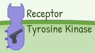 Receptor Tyrosine Kinase  MAPK Pathway [upl. by Harad]