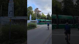 Tramlinie 6 in Riehen tram strassenbahn bvb basel schweiz tramspotting shorts yt [upl. by Ridglee]