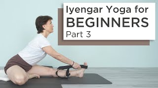 Iyengar Yoga for Beginners Part 3 with Kathy Cook HD [upl. by Keary547]