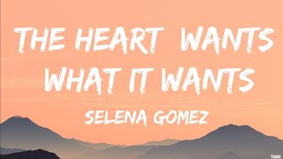 The Heart Wants What It Wants  Selena Gomez Lyrics [upl. by Anpas]