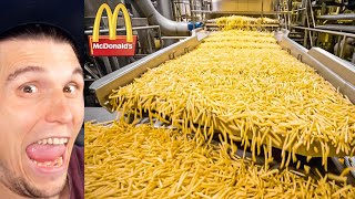 Paluten REAGIERT auf wie McDonalds Pommes Frites hergestellt werden [upl. by Aikahc]