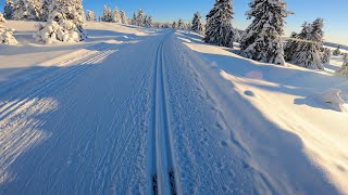 Cross Country Skiing in Norway with a GoPro [upl. by Zaneta]